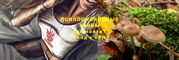 apvp Арсеньев