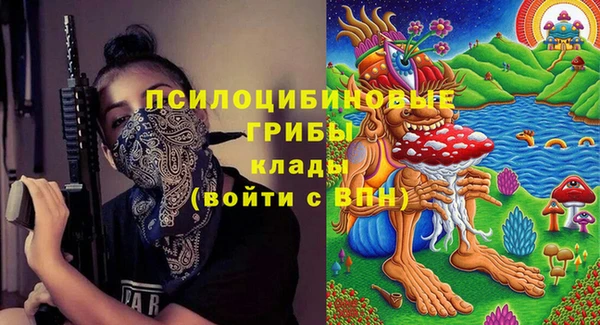 apvp Арсеньев