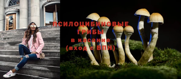 первитин Гусь-Хрустальный