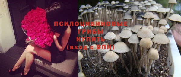 героин Алексин